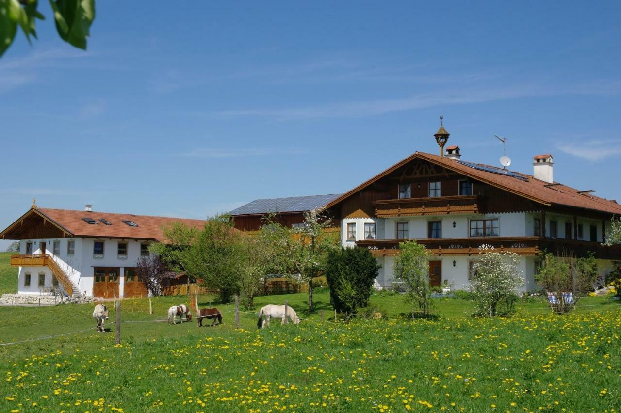 Berghof Walser Obersochering Exterior foto